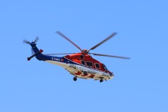IMG_1426-CROP