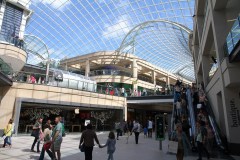 IMG_1162-Copy